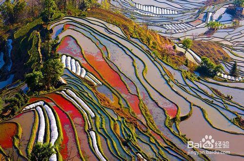 哈尼梯田在哪裡？旅遊地圖詳解