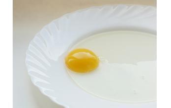 蛋黃和蛋白有何營養