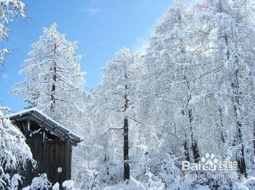 世紀冰川海螺溝、康定情歌風景區四日遊