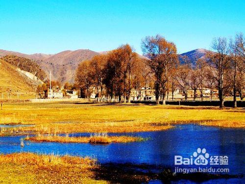 世紀冰川海螺溝、康定情歌風景區四日遊