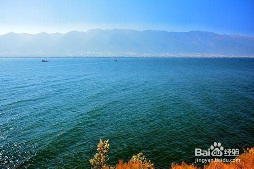 大理洱海遊玩