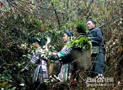 萱萱30天去脂法具體步驟