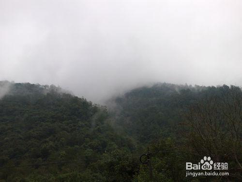 武夷山旅遊攻略之龍川大峽谷