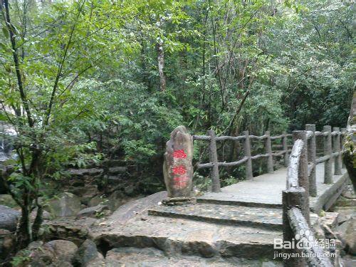 武夷山旅遊攻略之龍川大峽谷