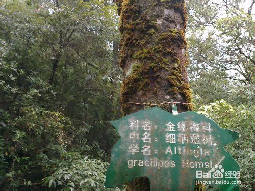 武夷山旅遊攻略之龍川大峽谷