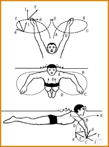 如何樣快速有效的學會游泳