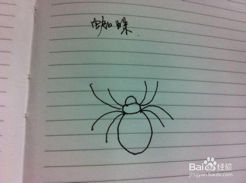 怎麼畫蜘蛛 - 蜘蛛的畫法 - 蜘蛛簡筆畫