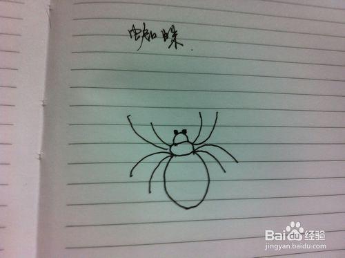 怎麼畫蜘蛛 - 蜘蛛的畫法 - 蜘蛛簡筆畫