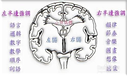 高效學習法——思維導圖