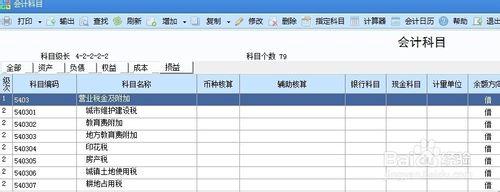 13年小企業準則利潤表稅費明細公式怎麼編寫