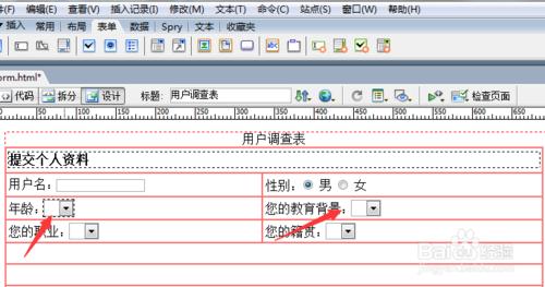 如何在網頁中創建用戶調查表