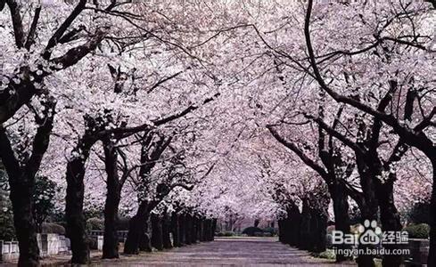 青島夏季旅遊攻略（3天）