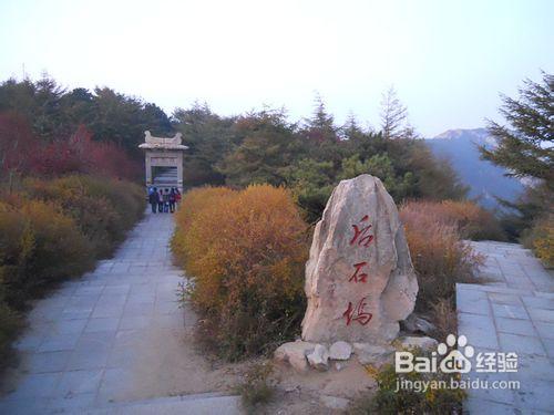 從蘇州到山東泰山旅遊攻略