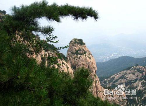 從蘇州到山東泰山旅遊攻略