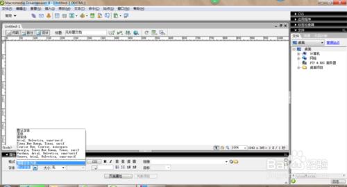 如何在Dreamweaver中添加字體