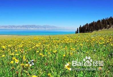 新疆最美景點—旅程天下