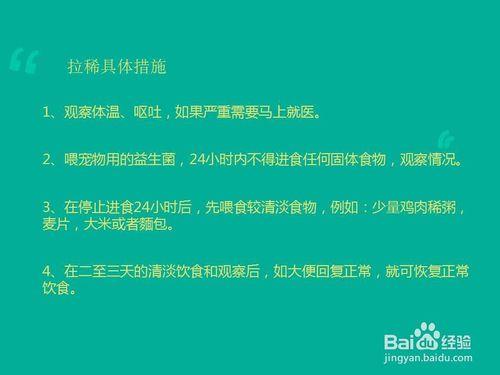 如何應對寵物腹瀉，家庭緊急處理方法？！