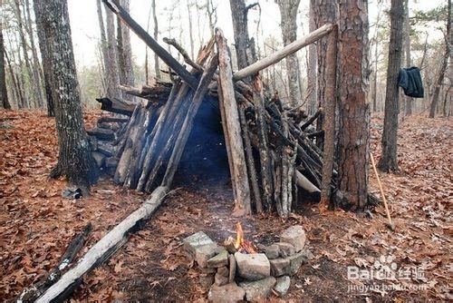 在野外怎樣對付狼群和野獸