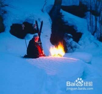 在野外怎樣對付狼群和野獸