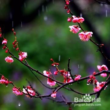 梅雨季節如何避免黴物