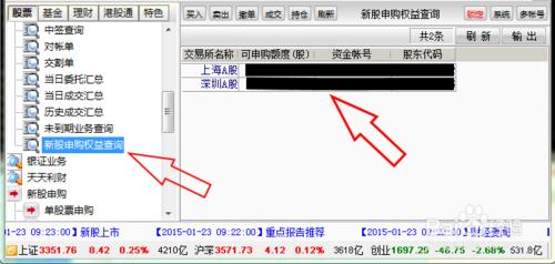 如何進行新股申購