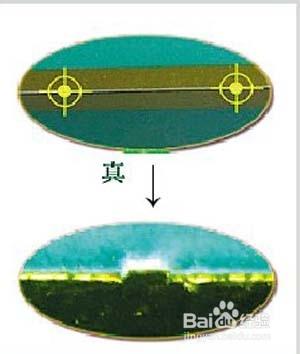 雲煙 小熊貓 辨別真假