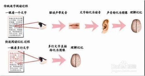 如何下載安裝精英特速讀記憶訓練軟件