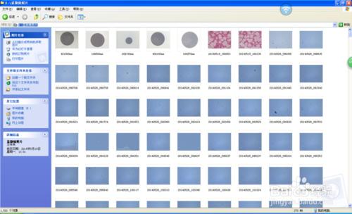 Motic Images圖片批量保存以及批量重命名的方法