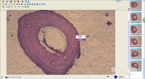 Motic Images圖片批量保存以及批量重命名的方法