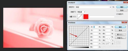 如何改變圖片色調 PS雙色調模式的使用