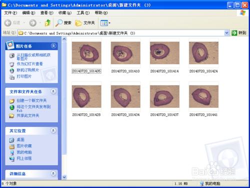 Motic Images圖片批量保存以及批量重命名的方法