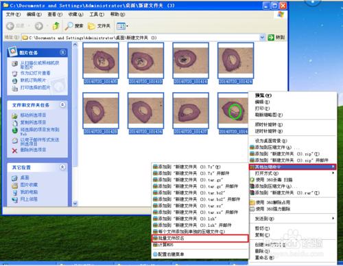 Motic Images圖片批量保存以及批量重命名的方法