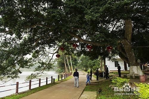 暢玩美麗椰城海口