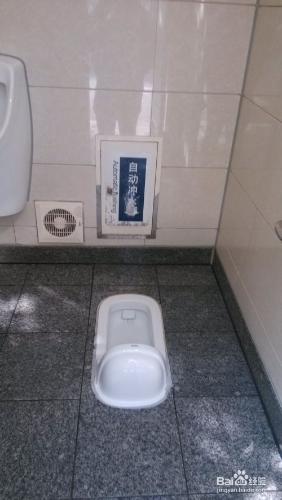 如何使用公共廁所（Public toilet）