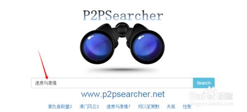 p2p searcher網頁版怎麼用 怎麼搜索