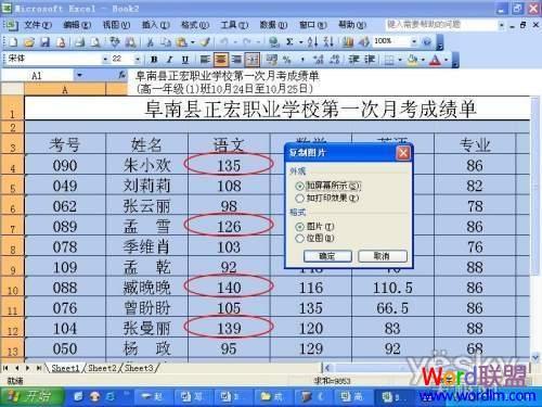 Excel中為指定數據源標記出重要的項