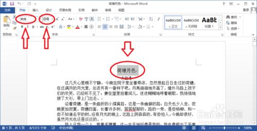 Word2013如何設置文字格式