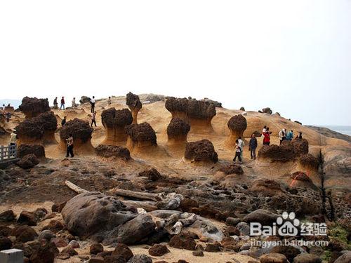 行走臺灣小城鎮/怎樣來感受原生態寶島風情