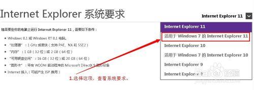 怎麼提高在WIN7上安裝IE11的成功率--下載及安裝