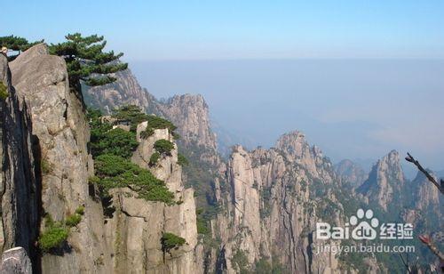 河南信陽旅遊景點攻略