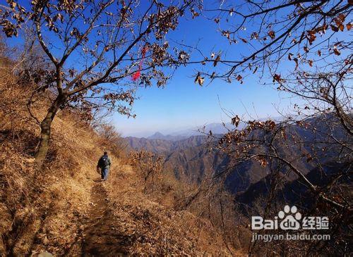 河南信陽旅遊景點攻略