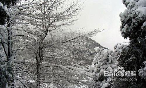 湖南郴州旅遊攻略