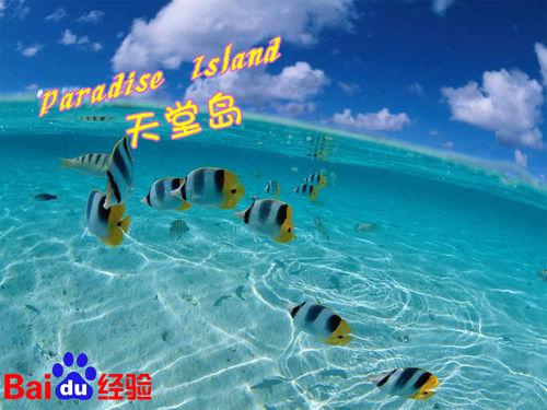 馬爾代夫天堂島Paradise Island旅遊必讀