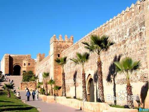 突尼斯旅遊 春節突尼斯旅遊 突尼斯摩洛哥旅遊