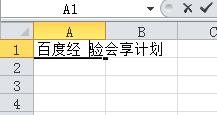 如何讓Excel單元格的文字換行對齊