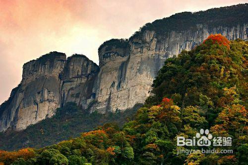 仙女山、芙蓉洞二日遊