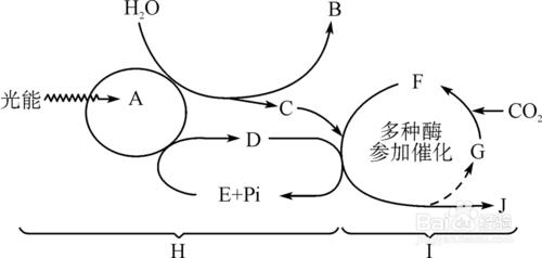 高中該如何學習生物