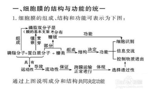 高中該如何學習生物