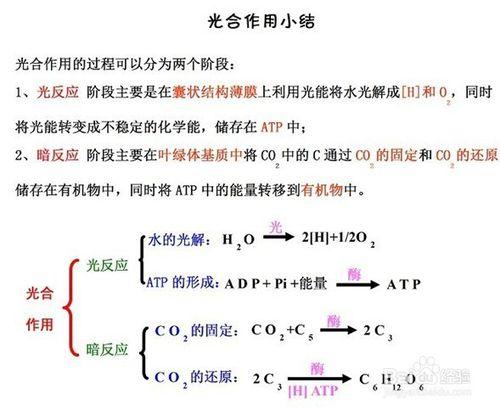 高中該如何學習生物