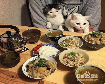 怎樣讓餐桌上的飯菜搭配的更有食慾